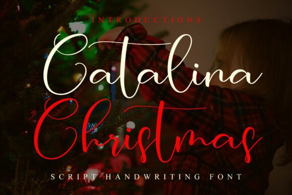 Catalina Christmas: A Script Amp Asset for Seasonal Branding and Visual Content